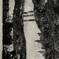 UNTITLED - LP 003